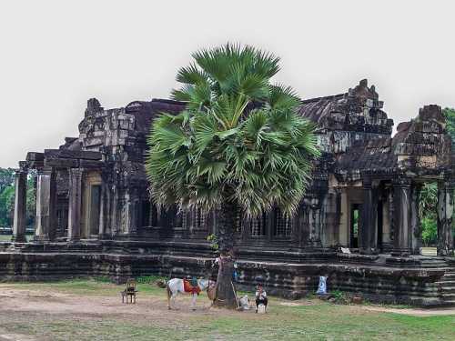 ангкор ват, камбоджа: детально о храмовом комплексе с фото